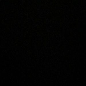 Meet your Posher, Callie